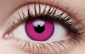 Purple 3 Month Contact Lense