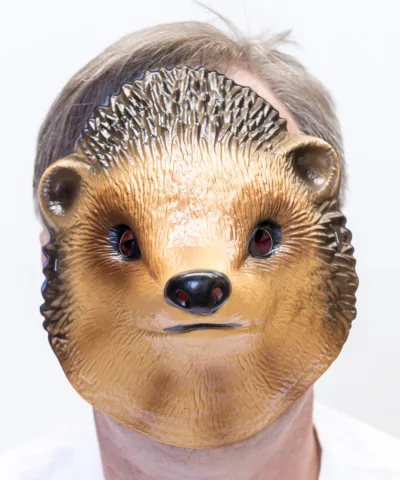 Echidna Porcupine Mask Plastic - image ECHIDNA-MASK on https://www.abracadabrafancydress.com.au