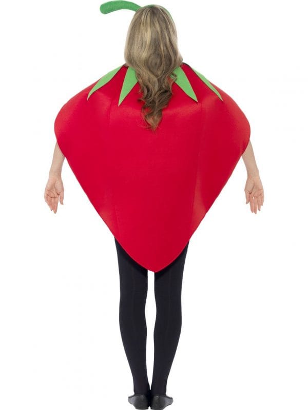 Strawberry Foam Costume Fruit Farm Food Women's Men's Novelty Fancy Dress Up