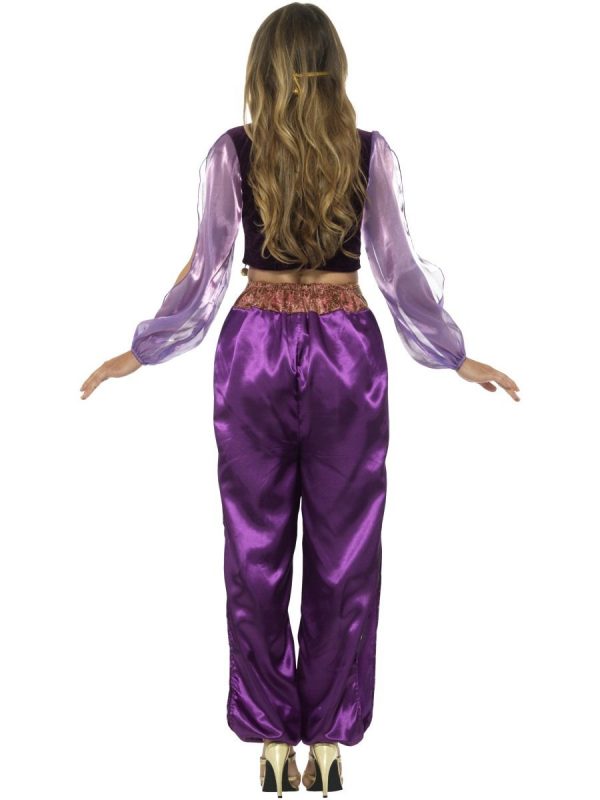 Jasmine Arabian Princess Costume Belly Dancer Aladdin Genie - image 24702_b-1-600x800 on https://www.abracadabrafancydress.com.au