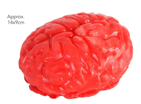 Brain Prop Latex Ornament Horror Halloween - image 23104-600x442 on https://www.abracadabrafancydress.com.au